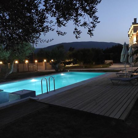 Villa Penelope Kalpaki  Екстериор снимка